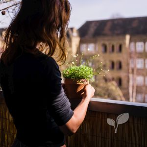 Natuurlijke balkonaankleding rieten balkonscherm